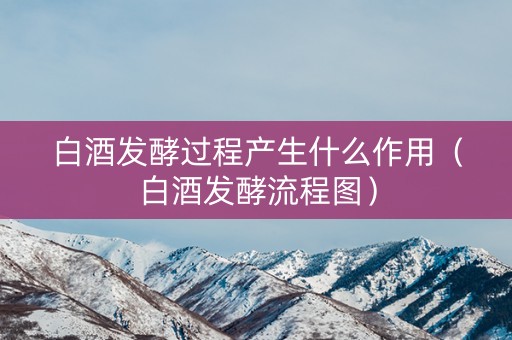 白酒发酵过程产生什么作用（白酒发酵流程图）