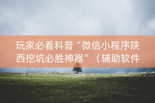 玩家必看科普“微信小程序陕西挖坑必胜神器”（辅助软件)