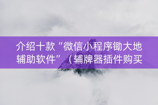 介绍十款“微信小程序锄大地辅助软件”（辅牌器插件购买)
