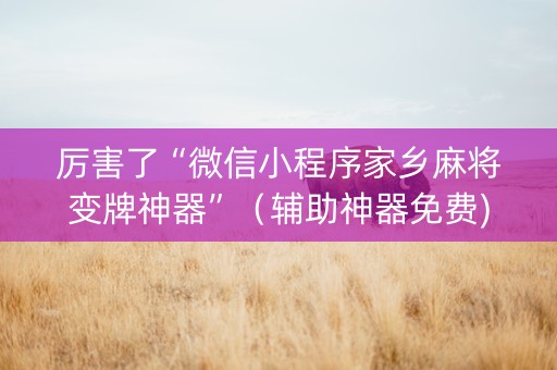 厉害了“微信小程序家乡麻将变牌神器”（辅助神器免费)