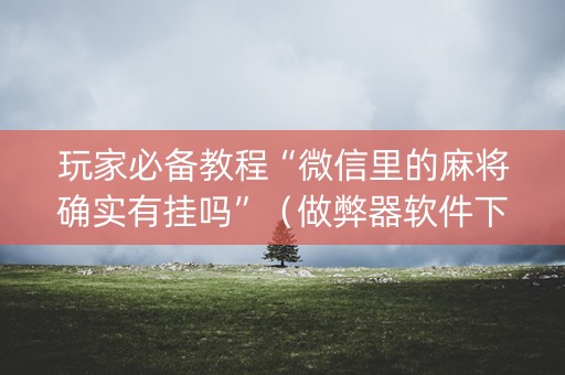 玩家必备教程“微信里的麻将确实有挂吗”（做弊器软件下载)