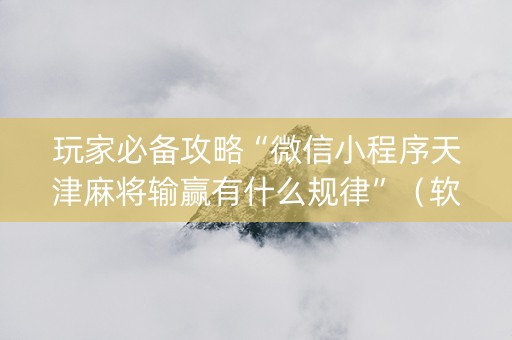 玩家必备攻略“微信小程序天津麻将输赢有什么规律”（软挂神器)