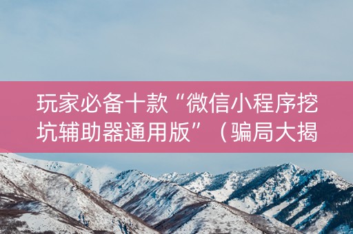 玩家必备十款“微信小程序挖坑辅助器通用版”（骗局大揭秘)