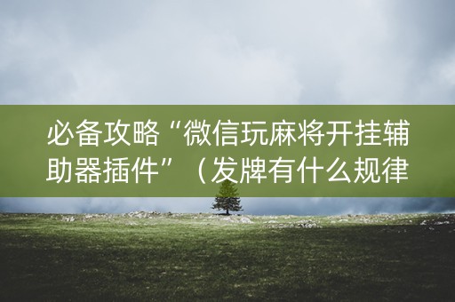 必备攻略“微信玩麻将开挂辅助器插件”（发牌有什么规律吗)