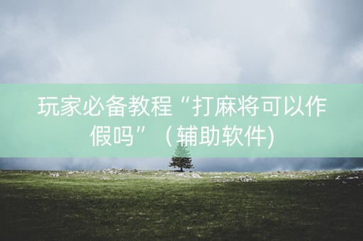 玩家必备教程“打麻将可以作假吗”（辅助软件)