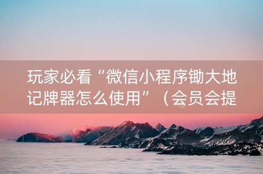 玩家必看“微信小程序锄大地记牌器怎么使用”（会员会提高胜率吗)