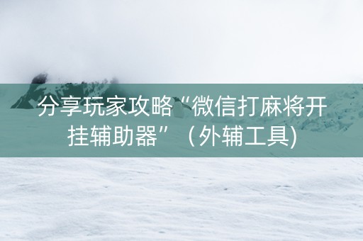 分享玩家攻略“微信打麻将开挂辅助器”（外辅工具)