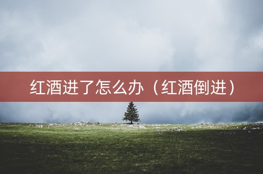 红酒进了怎么办（红酒倒进）