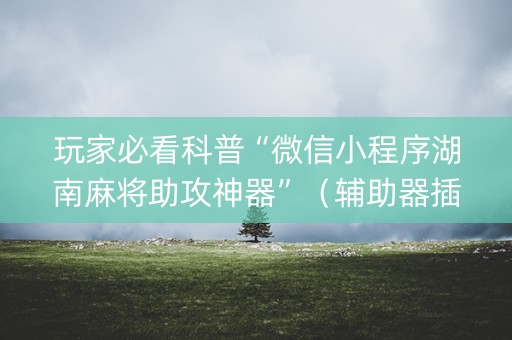 玩家必看科普“微信小程序湖南麻将助攻神器”（辅助器插件)