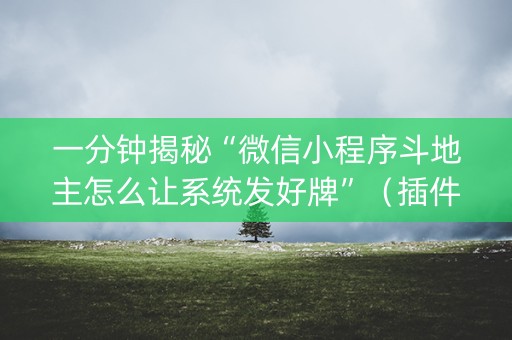 一分钟揭秘“微信小程序斗地主怎么让系统发好牌”（插件开挂免费AI)