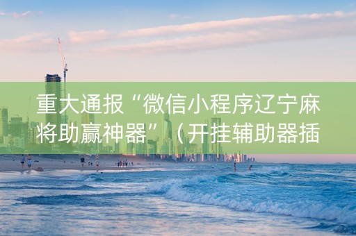 重大通报“微信小程序辽宁麻将助赢神器”（开挂辅助器插件)
