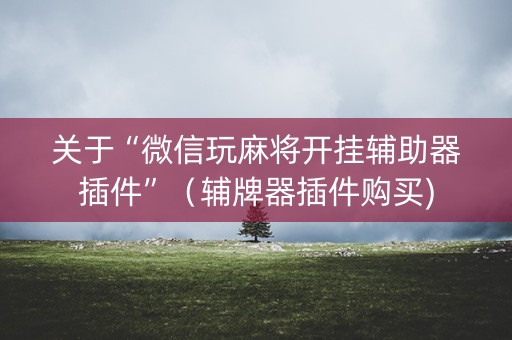 关于“微信玩麻将开挂辅助器插件”（辅牌器插件购买)