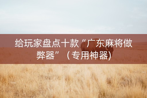 给玩家盘点十款“广东麻将做弊器”（专用神器)