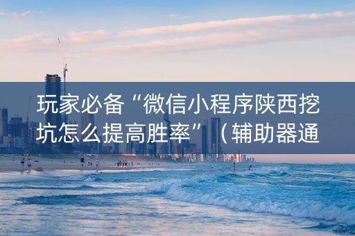 玩家必备“微信小程序陕西挖坑怎么提高胜率”（辅助器通用版)