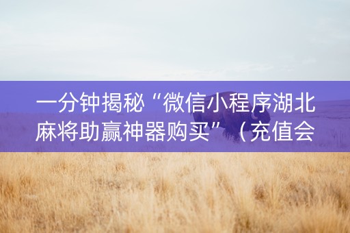 一分钟揭秘“微信小程序湖北麻将助赢神器购买”（充值会提高胜率么)