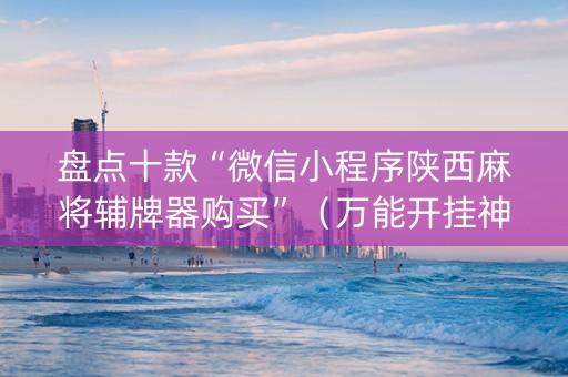 盘点十款“微信小程序陕西麻将辅牌器购买”（万能开挂神器)