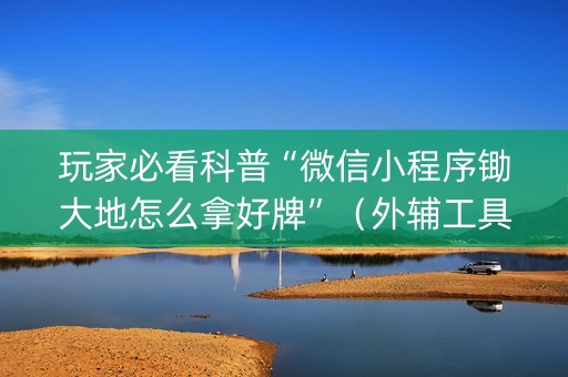玩家必看科普“微信小程序锄大地怎么拿好牌”（外辅工具)