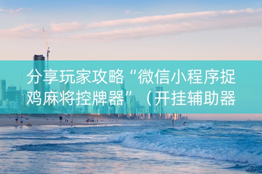 分享玩家攻略“微信小程序捉鸡麻将控牌器”（开挂辅助器插件)