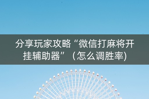 分享玩家攻略“微信打麻将开挂辅助器”（怎么调胜率)