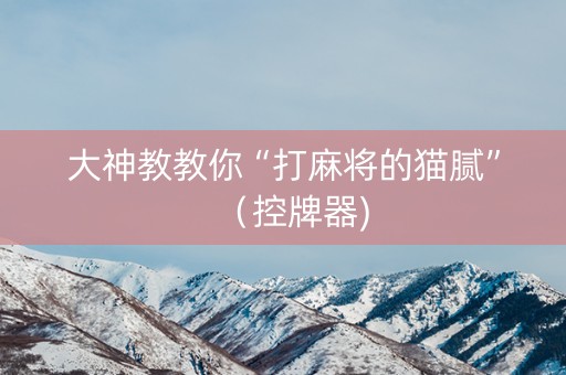 大神教教你“打麻将的猫腻”（控牌器)