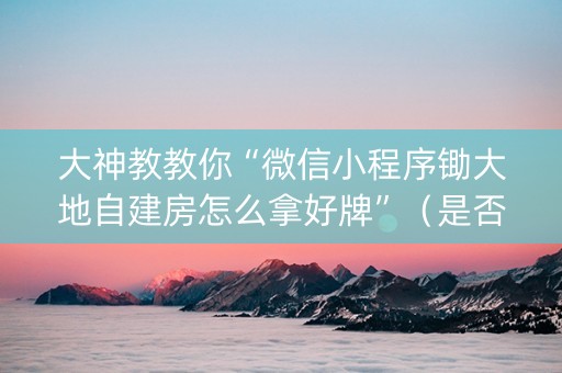 大神教教你“微信小程序锄大地自建房怎么拿好牌”（是否能开挂)