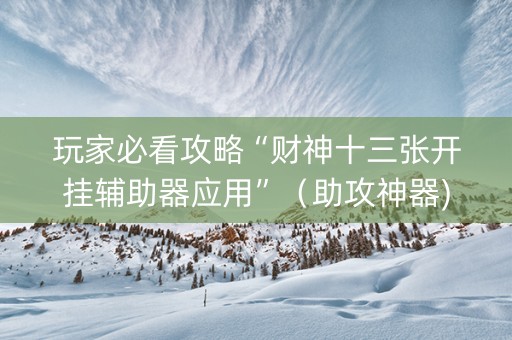 玩家必看攻略“财神十三张开挂辅助器应用”（助攻神器)