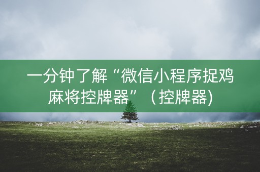 一分钟了解“微信小程序捉鸡麻将控牌器”（控牌器)