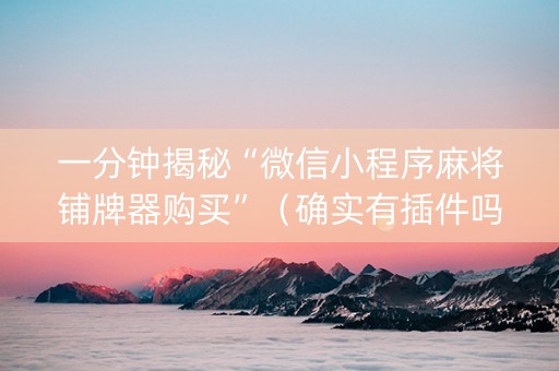一分钟揭秘“微信小程序麻将铺牌器购买”（确实有插件吗)