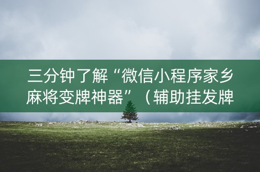 三分钟了解“微信小程序家乡麻将变牌神器”（辅助挂发牌规律)