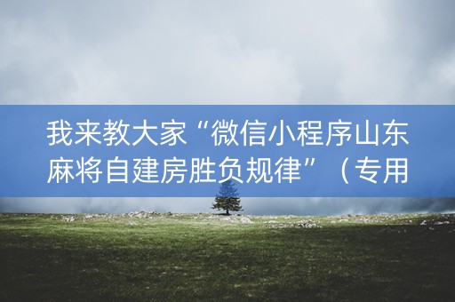 我来教大家“微信小程序山东麻将自建房胜负规律”（专用神器)