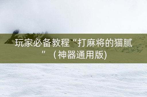 玩家必备教程“打麻将的猫腻”（神器通用版)