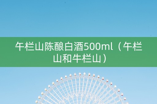 午栏山陈酿白酒500ml（午栏山和牛栏山）