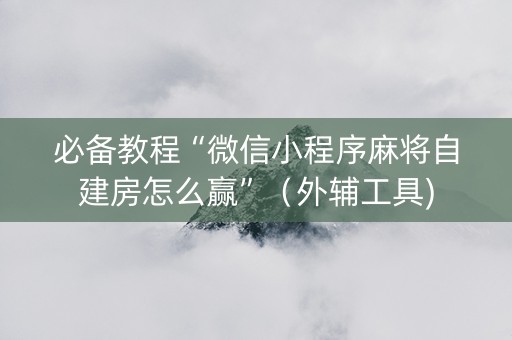 必备教程“微信小程序麻将自建房怎么赢”（外辅工具)