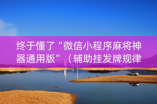终于懂了“微信小程序麻将神器通用版”（辅助挂发牌规律)