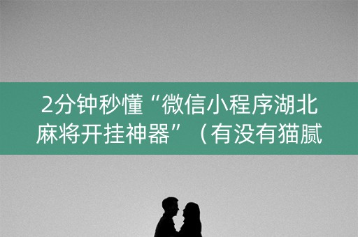 2分钟秒懂“微信小程序湖北麻将开挂神器”（有没有猫腻)