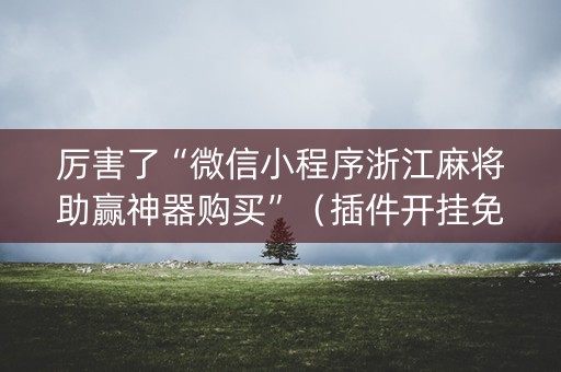 厉害了“微信小程序浙江麻将助赢神器购买”（插件开挂免费AI)