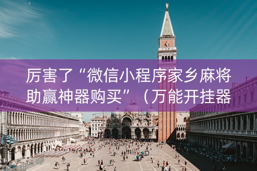 厉害了“微信小程序家乡麻将助赢神器购买”（万能开挂器)