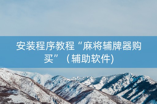 安装程序教程“麻将辅牌器购买”（辅助软件)