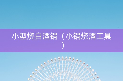 小型烧白酒锅（小锅烧酒工具）