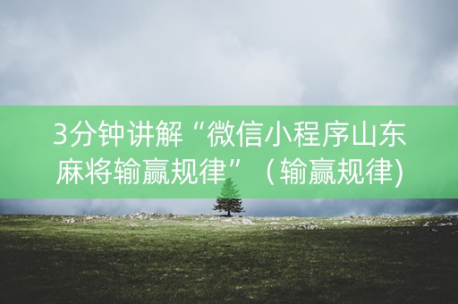 3分钟讲解“微信小程序山东麻将输赢规律”（输赢规律)
