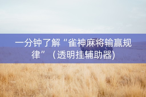 一分钟了解“雀神麻将输赢规律”（透明挂辅助器)