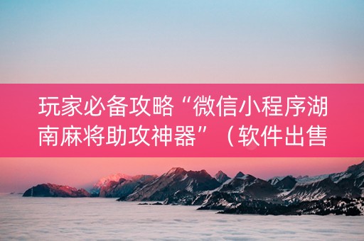 玩家必备攻略“微信小程序湖南麻将助攻神器”（软件出售)