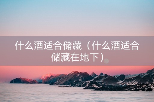 什么酒适合储藏（什么酒适合储藏在地下）