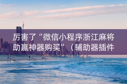 厉害了“微信小程序浙江麻将助赢神器购买”（辅助器插件)