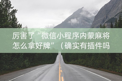 厉害了“微信小程序内蒙麻将怎么拿好牌”（确实有插件吗)