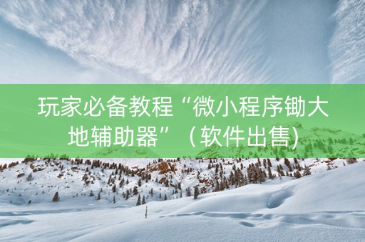 玩家必备教程“微小程序锄大地辅助器”（软件出售)