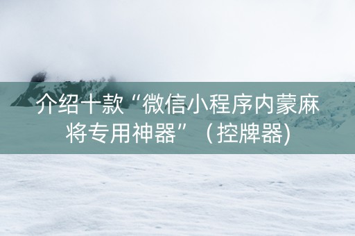 介绍十款“微信小程序内蒙麻将专用神器”（控牌器)