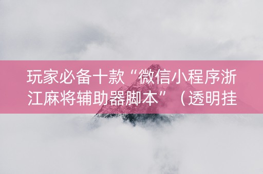 玩家必备十款“微信小程序浙江麻将辅助器脚本”（透明挂辅助器)