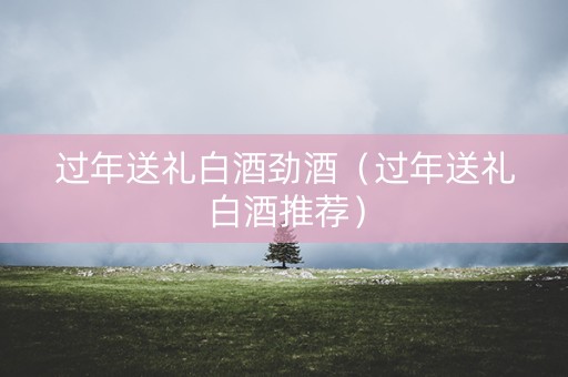 过年送礼白酒劲酒（过年送礼白酒推荐）