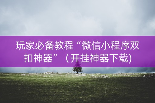 玩家必备教程“微信小程序双扣神器”（开挂神器下载)
